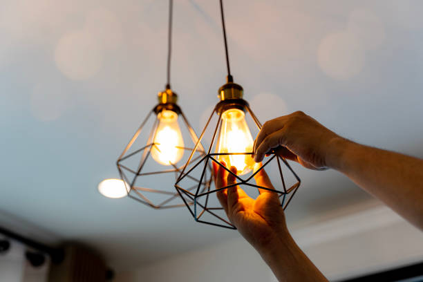 Best Home Electrical Repair  in Branchville, SC