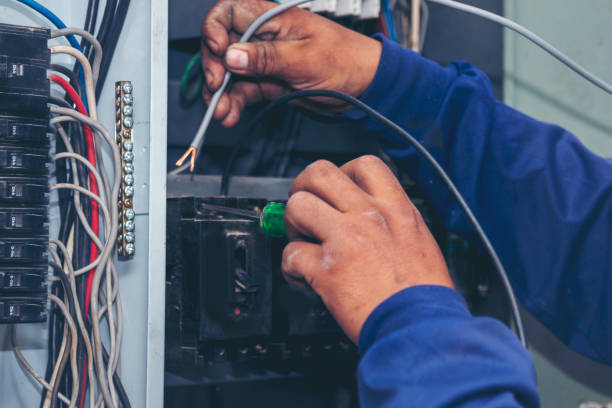 Best Ceiling Fan Installation Electrician  in Branchville, SC